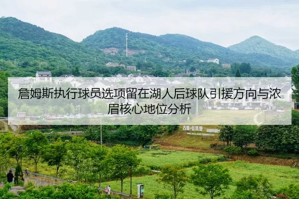 詹姆斯执行球员选项留在湖人后球队引援方向与浓眉核心地位分析