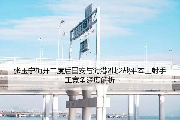 张玉宁梅开二度后国安与海港2比2战平本土射手王竞争深度解析