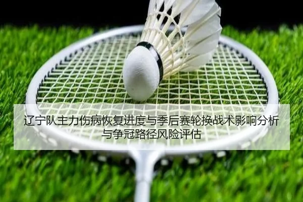辽宁队主力伤病恢复进度与季后赛轮换战术影响分析与争冠路径风险评估