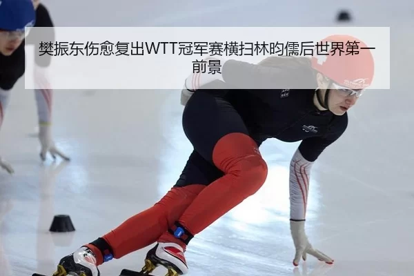 樊振东伤愈复出WTT冠军赛横扫林昀儒后世界第一前景